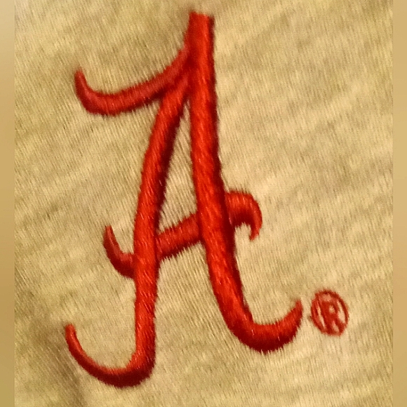 A NWT MENS LG HOODED PULLOVER SWEATSHIRT WITH  POCKETS GRAY WITH ALABAMA LOGO. - Picture 5 of 6